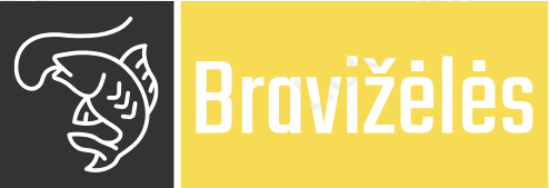 bravizeles.com